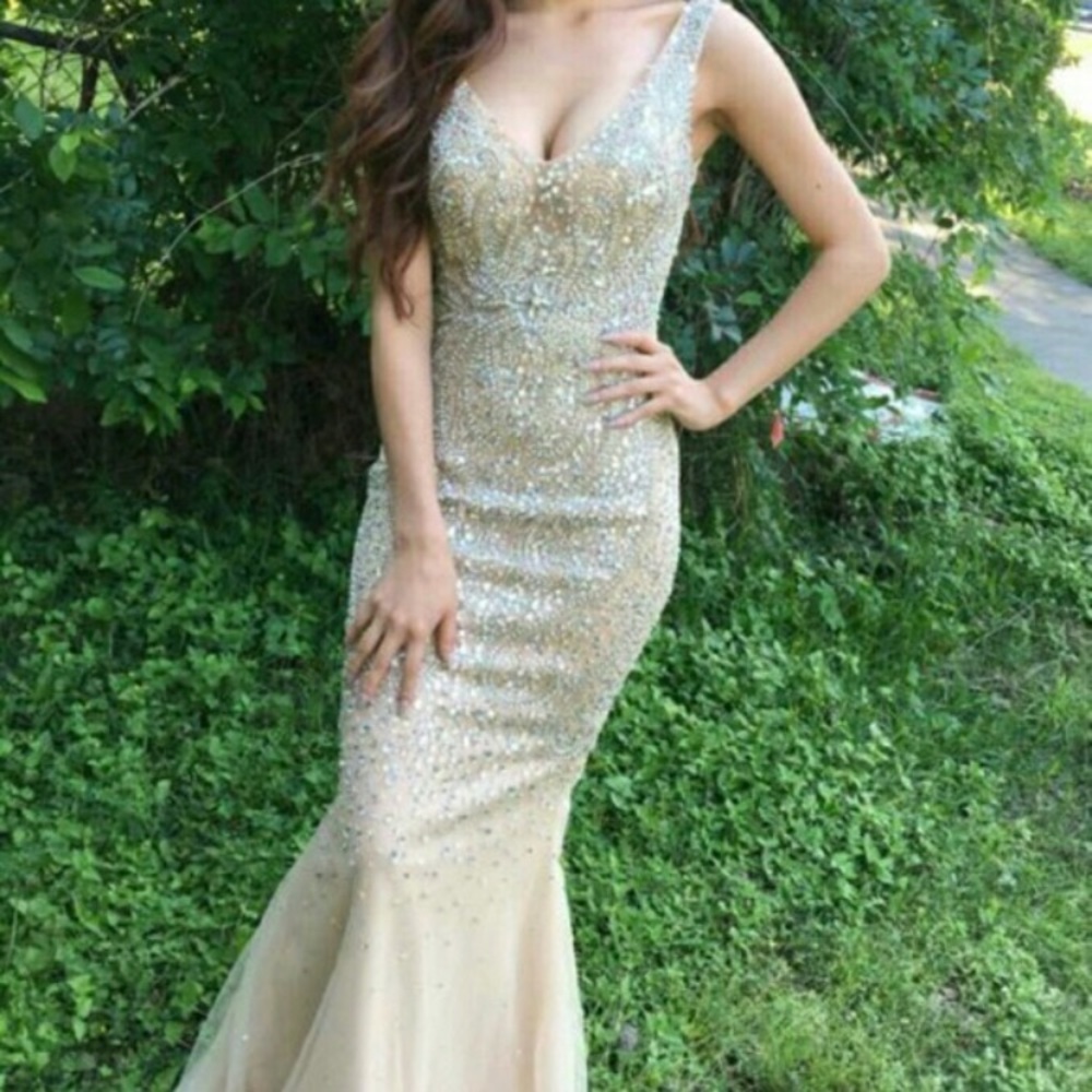 Sparkling Champagne Embellished Evening Dress Gown